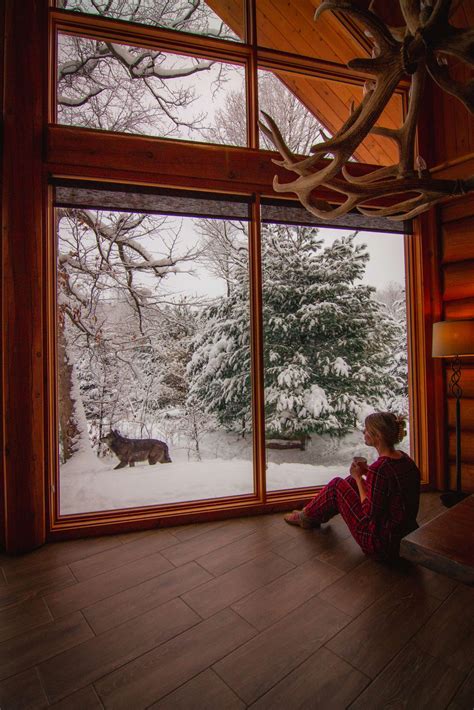 parc omega wolf lodge